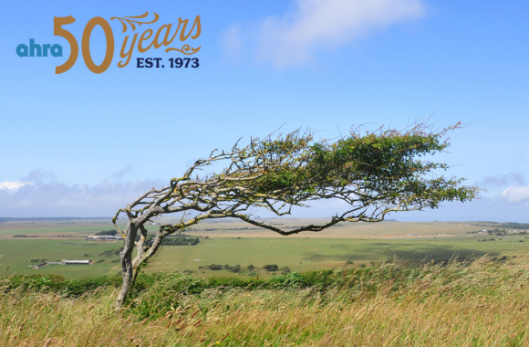 Bending, Not Breaking: Promoting Mental Health in Challenging Work Environments