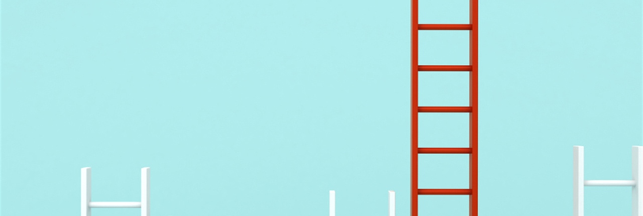 <strong>The RACC and RACC Commissioners</strong>