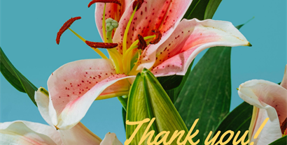 A special Thank You from an Osborn Scholarship winner